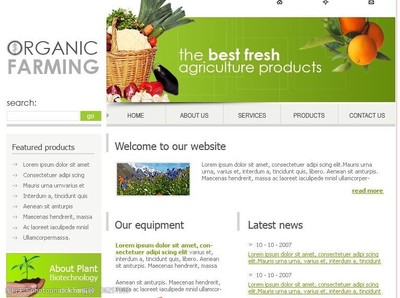 個性網頁模板設計 點亮電子商務經營的視覺引擎