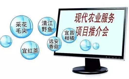 又到柑橘成熟季 湖北宜昌借力電商，破解銷(xiāo)售難題