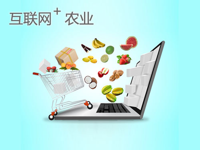 點(diǎn)豆網(wǎng) 以“互聯(lián)網(wǎng)+”助力農(nóng)業(yè)可持續(xù)發(fā)展，開(kāi)啟智慧農(nóng)業(yè)新篇章
